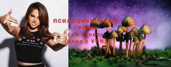 молекула духа Гусь-Хрустальный