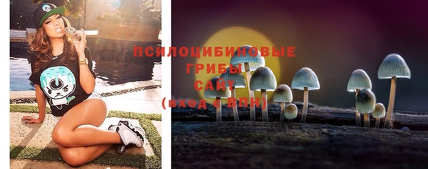 твердый Гусев