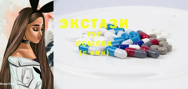 твердый Гусев