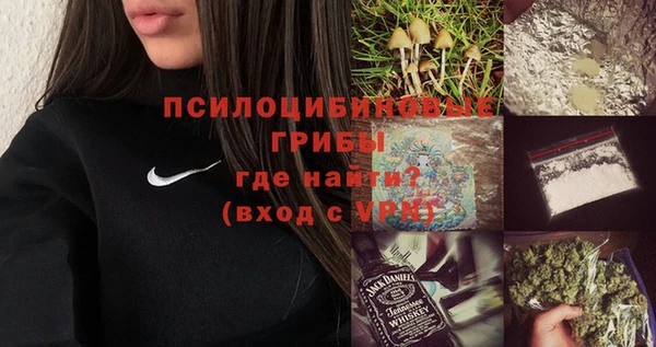 твердый Гусев