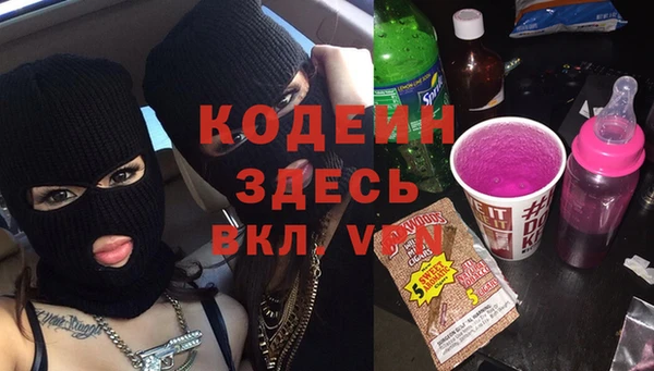 твердый Гусев