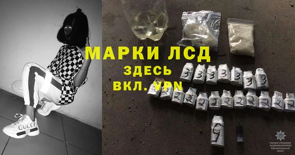твердый Гусев