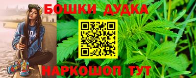 индика Комсомольск-на-Амуре