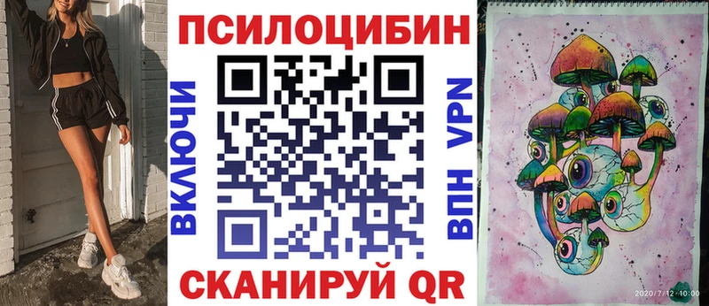 Галлюциногенные грибы Psilocybine cubensis Дальнереченск